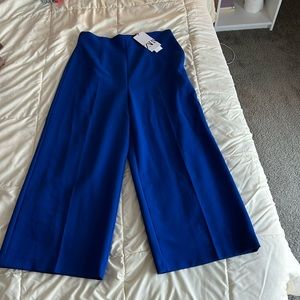 Zara Wide Leg Pleated Trouser